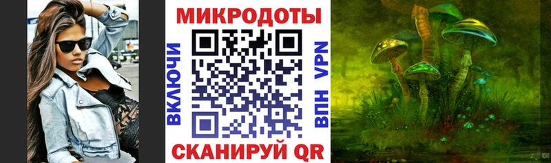 Псилоцибиновые грибы GOLDEN TEACHER Севск