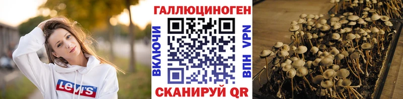 Галлюциногенные грибы Psilocybine cubensis  дарнет шоп  Севск 