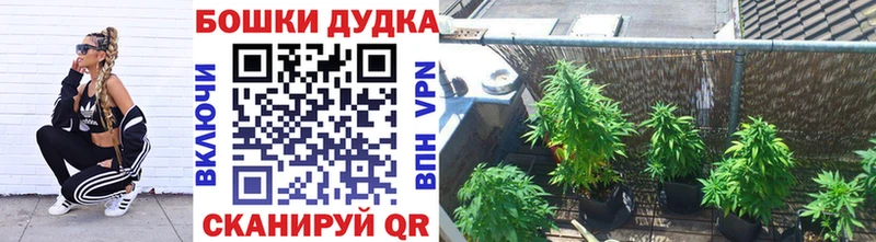 как найти закладки  Севск  Каннабис VHQ 
